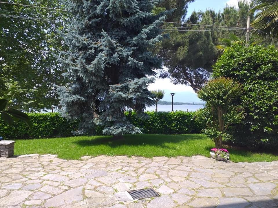 Alla Ghigliotta Вивероне Екстериор снимка